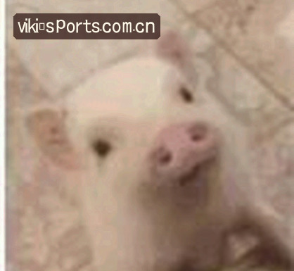 吴凯